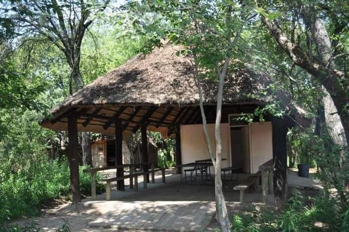 Thatched lapa among trees